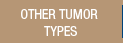 Other Tumor Types
